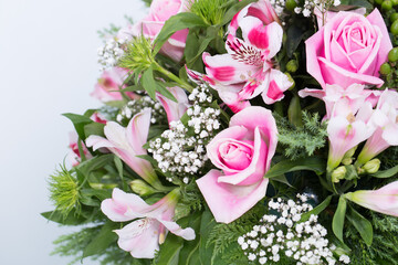 Many kinds of flowers images clear shot and macro shot see the picture in detail