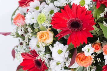 Many kinds of flowers images clear shot and macro shot see the picture in detail