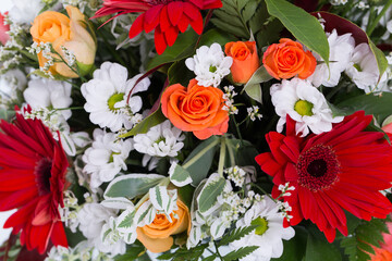 Many kinds of flowers images clear shot and macro shot see the picture in detail