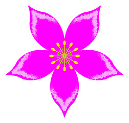 Cute Pink Flower Clipart