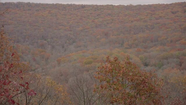 Devil's Den State Park CCC Scenic Overlook Autumn Fall Foliage Vibrant Colors Arkansas USA