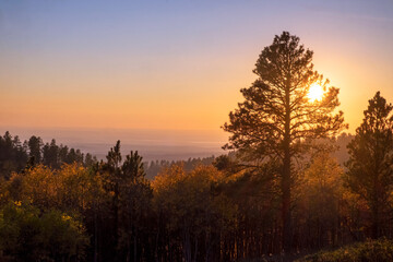 Sunset over yellow leaves in the Black Hills of eastern Wyoming in the fall