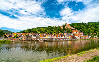 Fototapeta na wymiar Hirschhorn town and castle on the Neckar river in Odenwald - Hesse, Germany