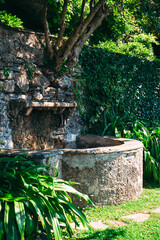 The old fountain in the botanical park of Villa Monastero, surrounded by green climbing plants. Varenna, Como, Italy.
