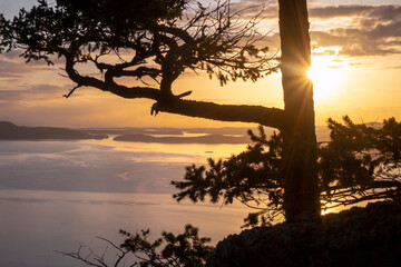 Naklejka premium Overlook on Lummi Island, San Juan Islands, Washington, USA