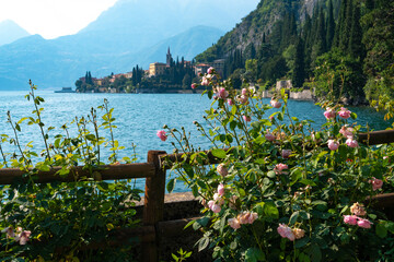 Panoramic view of Lake Como and traditional village of Varenna visible through the roses of botanical garden in the Villa Monastero in Varenna, Province of Lecco, Italy.