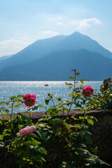 Scenic view of Lake Como and Alpine mountains visible from the botanical garden of Villa Monastero with blooming roses in the foreground in the old traditional village of Varenna, Italy.