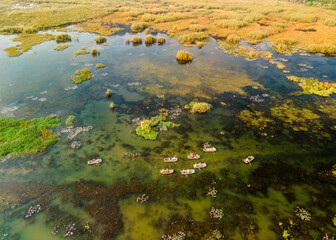 Aerial view of Van Long Natural Reserve, Vietnam