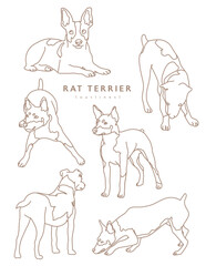 Rat Terrier Dog Illustration Outlines - Many Poses