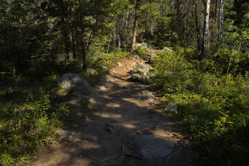 Five Lakes Trail in Jasper National Park,Alberta,Canada,North America
