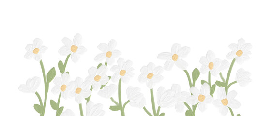 cute kid style oil paint white tiny daisy flower frame banner background - obrazy, fototapety, plakaty