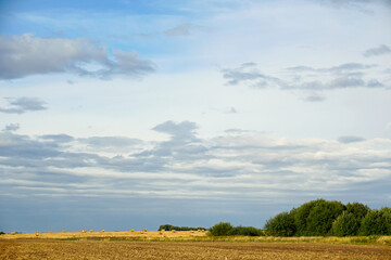 Evening over a compressed field. Blue sky and beautiful clouds. rural view