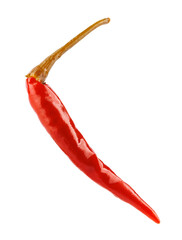 Pickled chili pepper isolated on white background. Full clipping path.