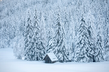 Kranjska Gora in Slovenia winter landscape