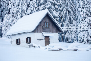 Kranjska Gora in Slovenia winter landscape