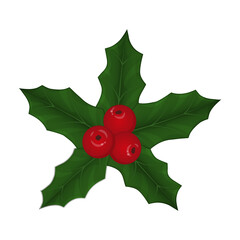 Mistletoe with berries. Christmas symbol.