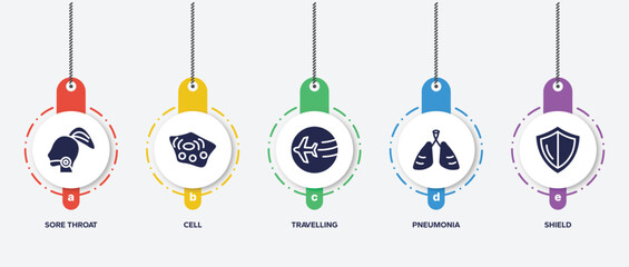 infographic element template with filled icons such as sore throat, cell, travelling, pneumonia, shield vector.