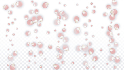 Pink Vector Realistic Petals Falling on Transparent Background.  Spring Romantic Flowers Illustration. Flying Petals. Sakura Spa Design. Blossom Confetti. Design Elements for Wedding Decoration.