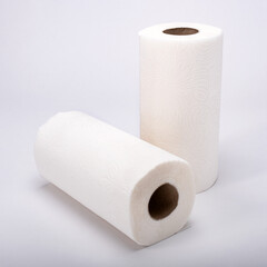 Paper towel roll