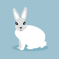White rabbit, forest hare - illustration