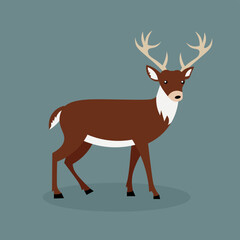 Brown deer with white neck and antlers