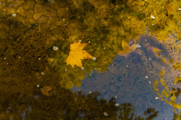 Beijing Ditan Park color autumn landscapes