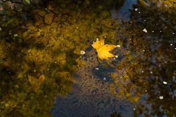 Beijing Ditan Park color autumn landscapes