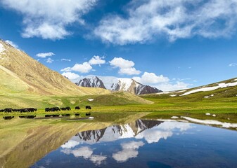 Fototapeta premium landscape with lake