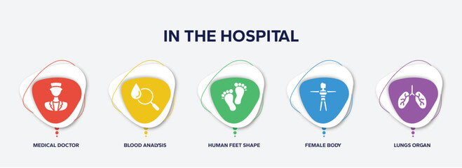 infographic element template with in the hospital filled icons such as medical doctor, blood analysis, human feet shape, female body, lungs organ vector.