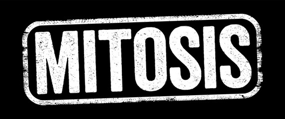 Mitosis is a part of the cell cycle in which replicated chromosomes are separated into two new nuclei, text stamp concept background