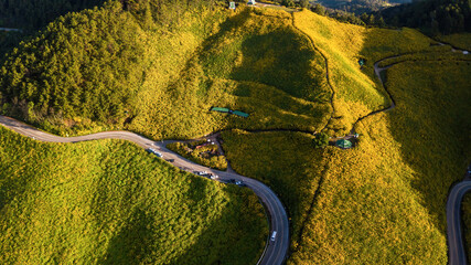 Top view Mexican sunflower ( Tung Bua Tong) field at Mae Hong Son Province in Thailand. aerial view Thai marigold or Mexican sunflower is located at top Doi Mae U Kho