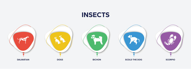 infographic element template with insects filled icons such as dalmatian, dogs, bichon, scold the dog, scorpio vector.