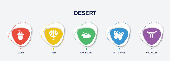 infographic element template with desert filled icons such as acorn, shell, mountains, butterflies, bull skull vector.
