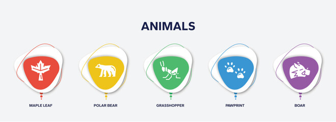 infographic element template with animals filled icons such as maple leaf, polar bear, grasshopper, pawprint, boar vector.