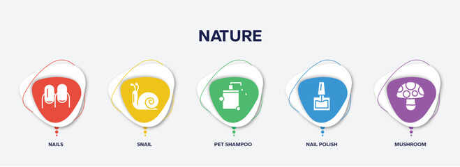 infographic element template with nature filled icons such as nails, snail, pet shampoo, nail polish, mushroom vector.