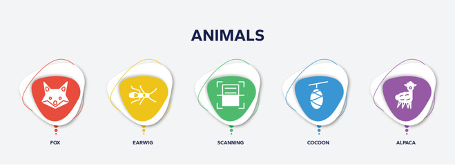 infographic element template with animals filled icons such as fox, earwig, scanning, cocoon, alpaca vector.