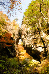 巨岩の間から覗く黄葉の木々