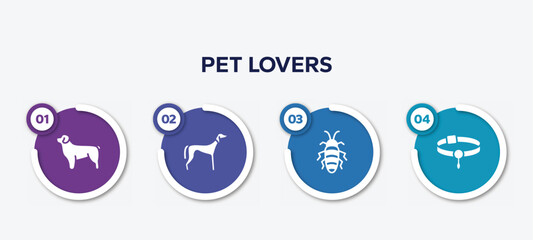 infographic element template with pet lovers filled icons such as newfoundland, saluki, madagascan, pet collar vector.