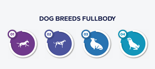 infographic element template with dog breeds fullbody filled icons such as bulterrier, dalmatian, corgi, pug vector.