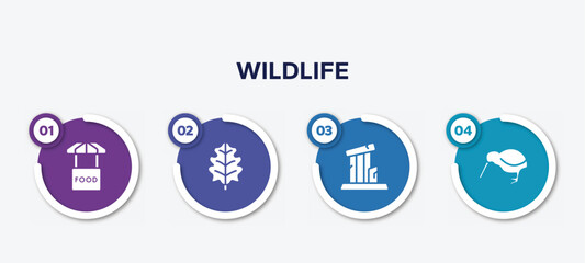 infographic element template with wildlife filled icons such as food stand, oak leaf, relics, kiwi vector.