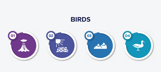 infographic element template with birds filled icons such as volcano, crack, mountains, duck vector.