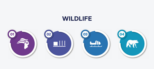 infographic element template with wildlife filled icons such as hornbill, apartheid museum, sled, carnivore vector. © VectorStockDesign