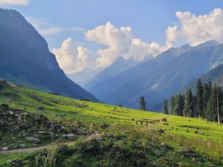 Tarsar Marsar, Kashmir