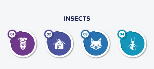 infographic element template with insects filled icons such as facial treatment, dog house, fox, termite vector.