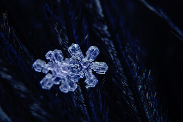 Real snowflake on blue background. Christmas winter snowflakes background. Snowflake Closeup. Macro...