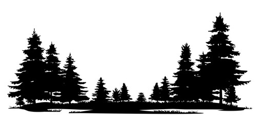 Overgrown patch. Coniferous forest with firs and pines. Landscape with trees and grass. Silhouette picture. Isolated on white background. Vector.