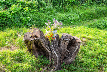 Fototapeta na wymiar Decorative flowers in the metal vase on the old stump