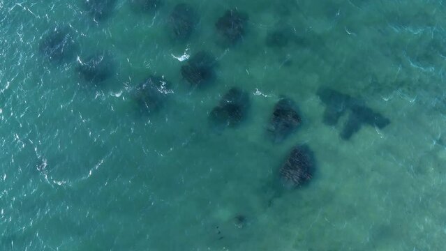 Details of oyster farming in the Aveiro estuary. Panoramic view of the Ria de Aveiro on the Atlantic coast of Portugal. Aerial view from a drone. Portugal. Europe