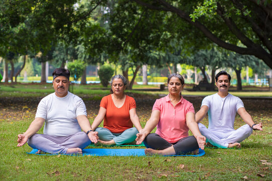 Indian Group Doing Yoga In Garden