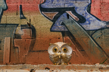 snow-white intelligent owl and graffiti beautiful